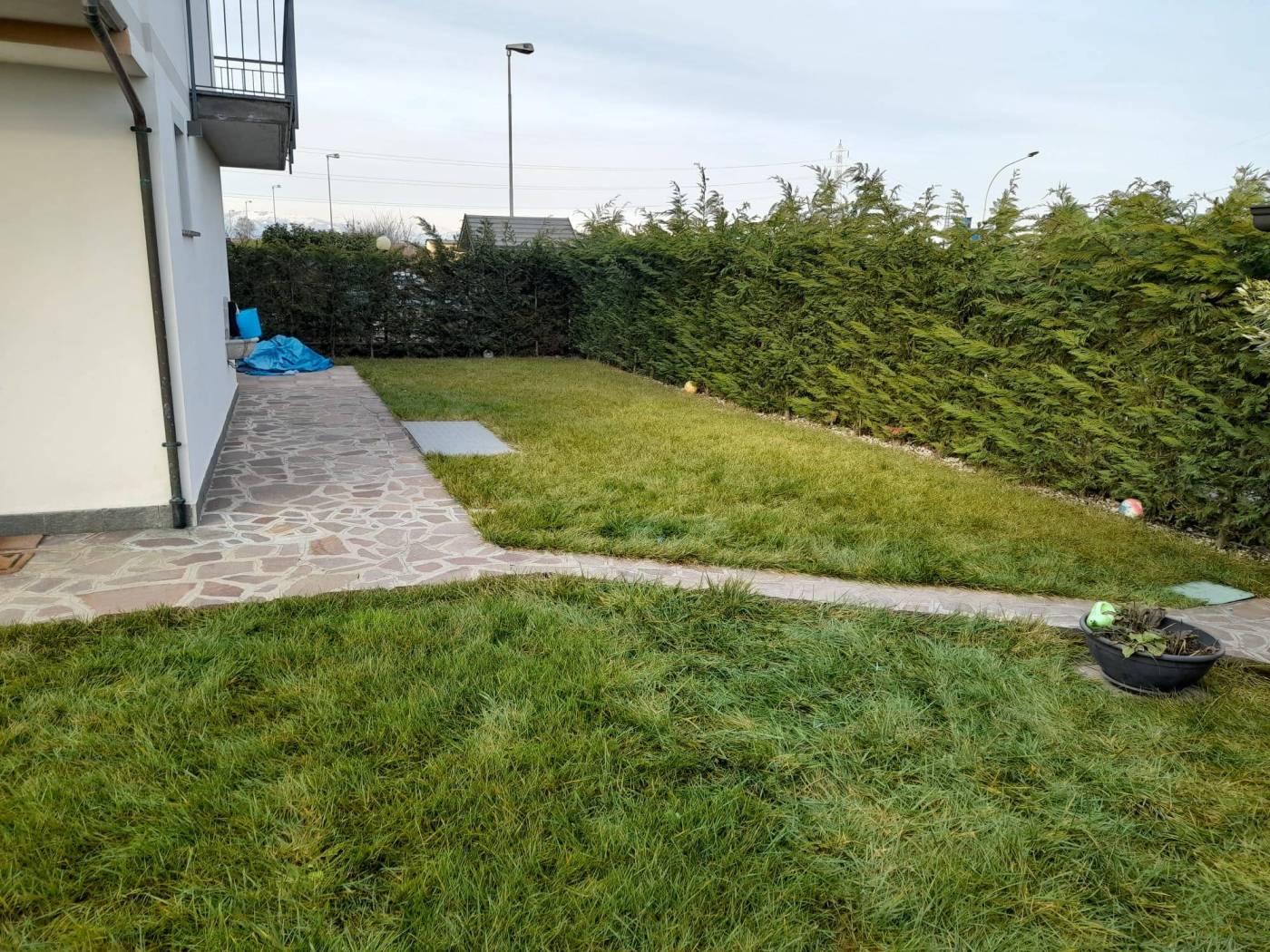 Giardino