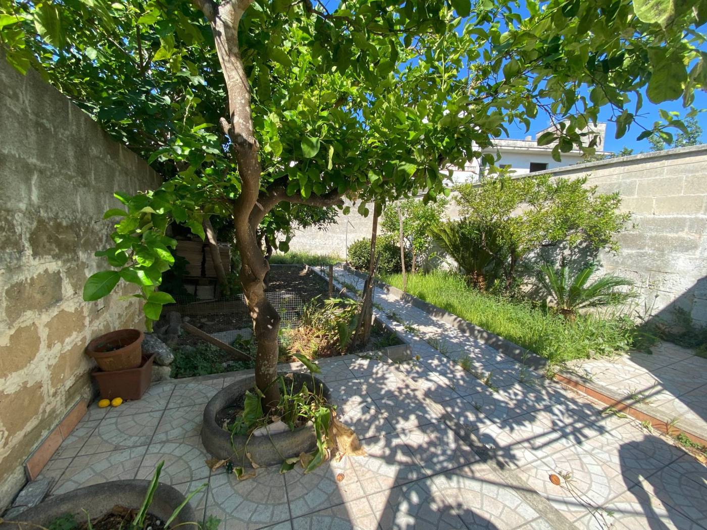 giardino 4