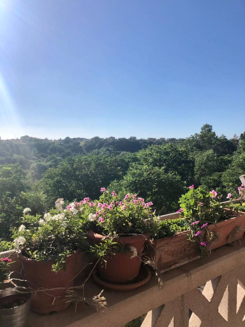 vista open sul verde