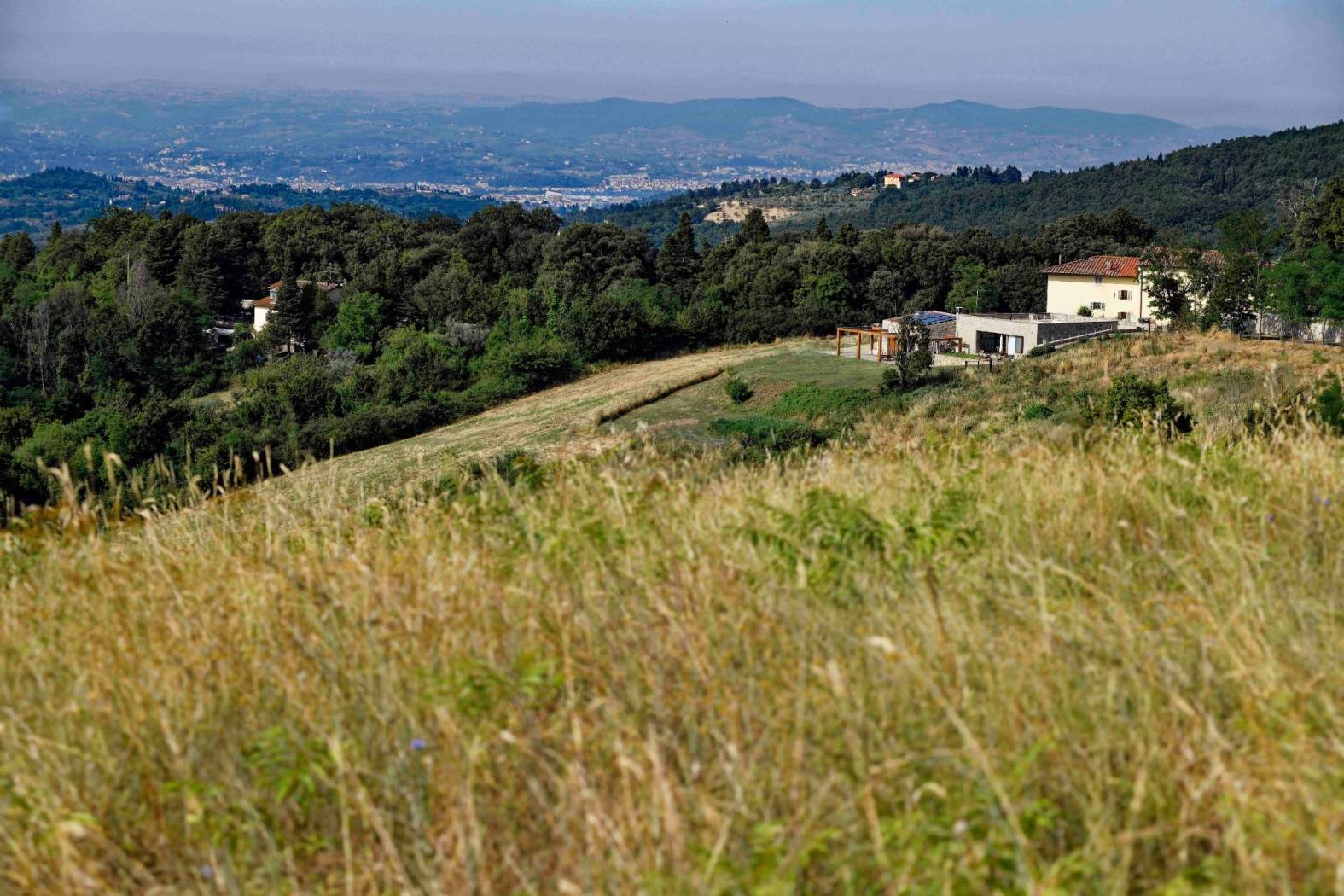 PANORAMA