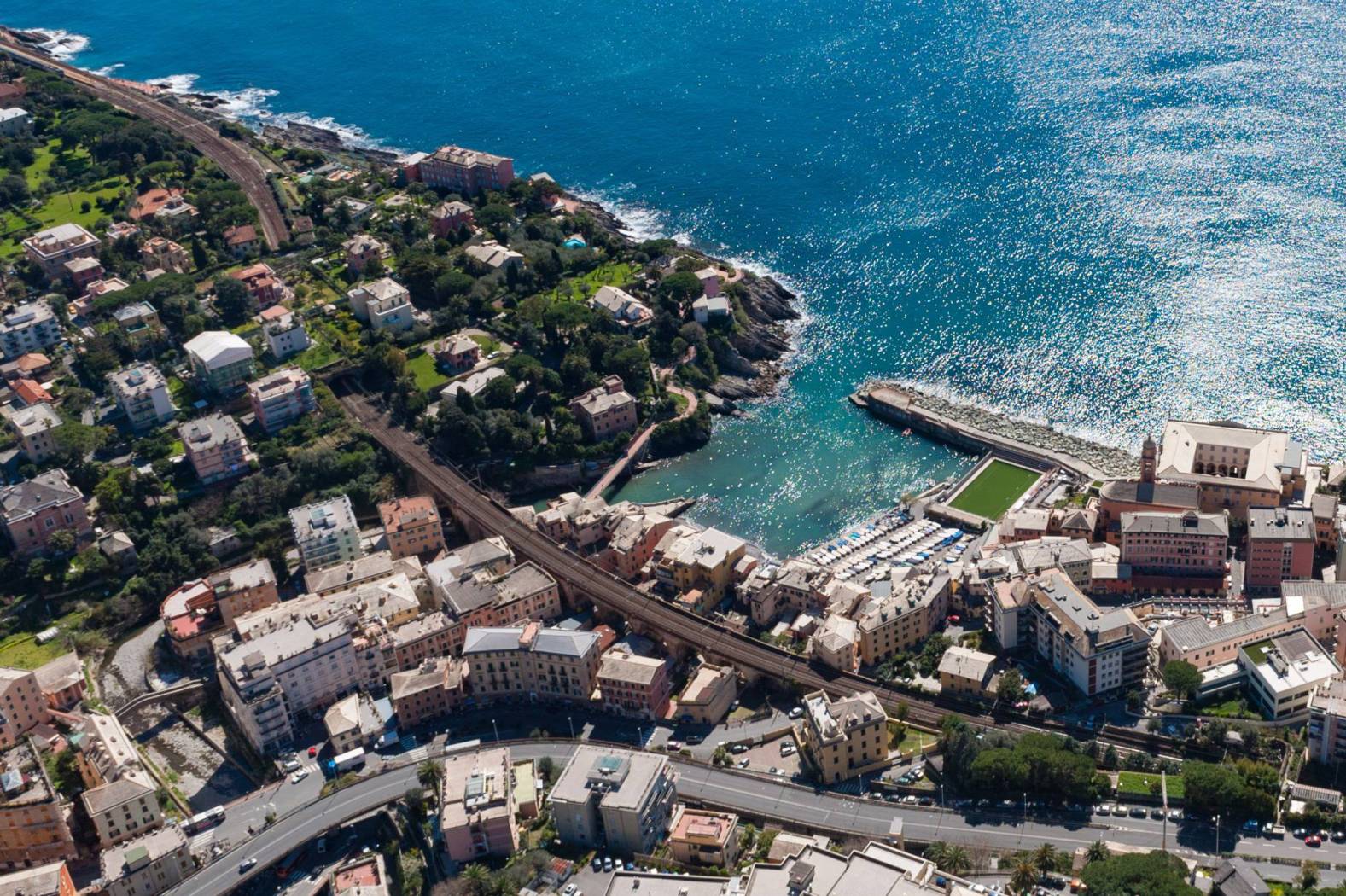 Nervi