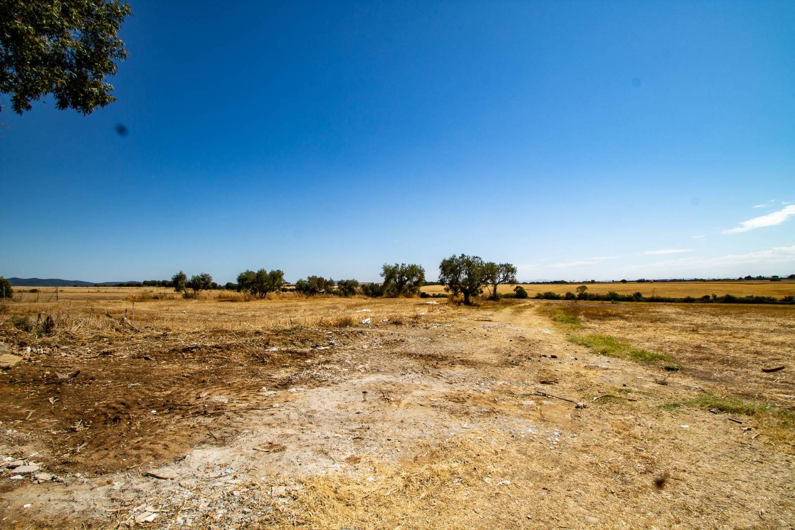 proprietà amputabile