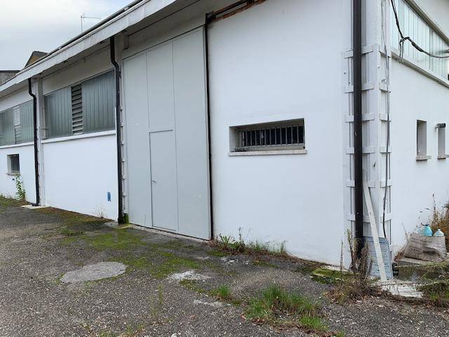 019  img 9476