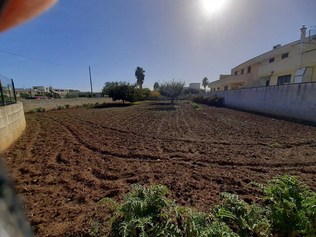 Vista del terreno Vista del terreno