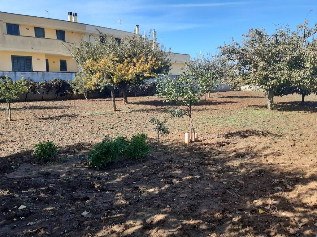 Vista del terreno Vista del terreno