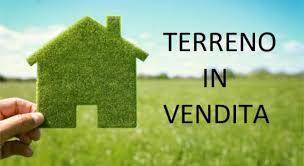 terreno 1