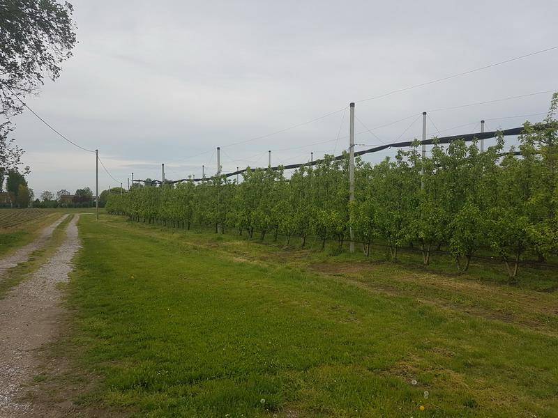 20190424 102817 ridimensionare