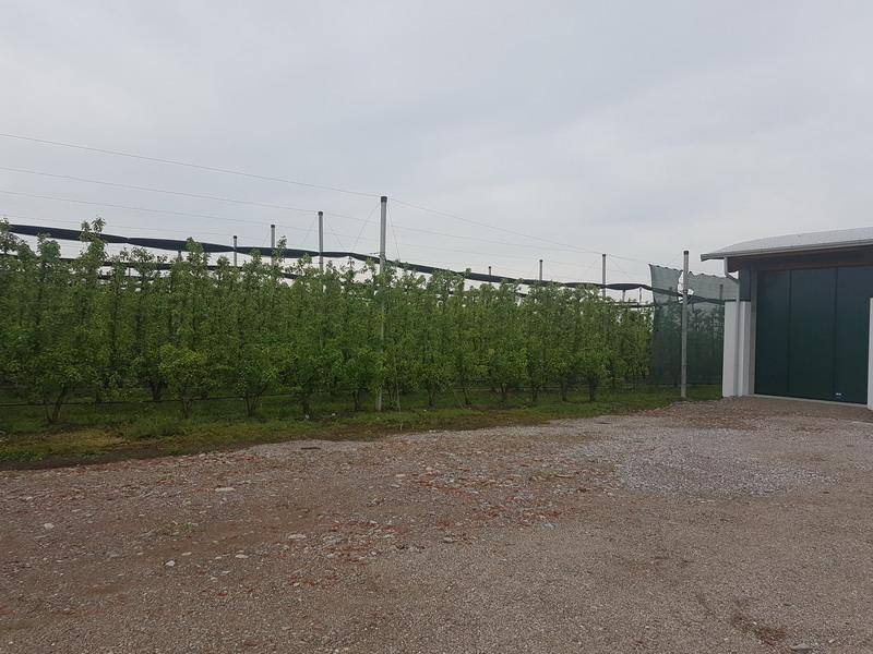 20190424 103054 ridimensionare