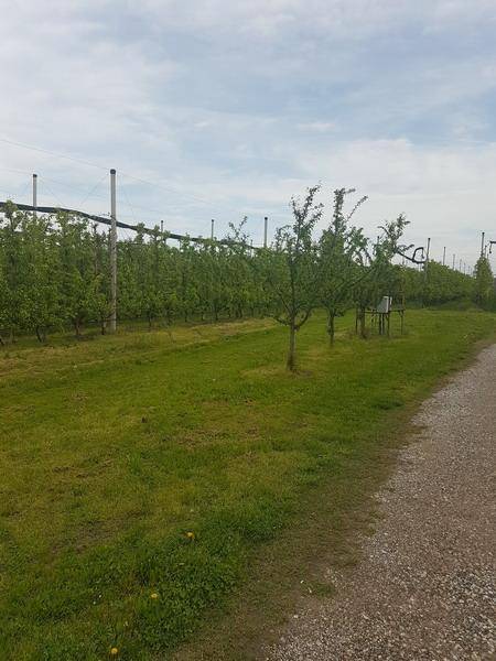 20190424 102806 ridimensionare