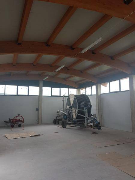 20190424 103222 ridimensionare