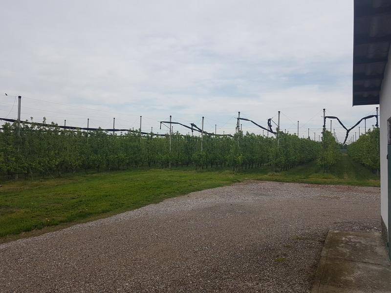 20190424 103841 ridimensionare