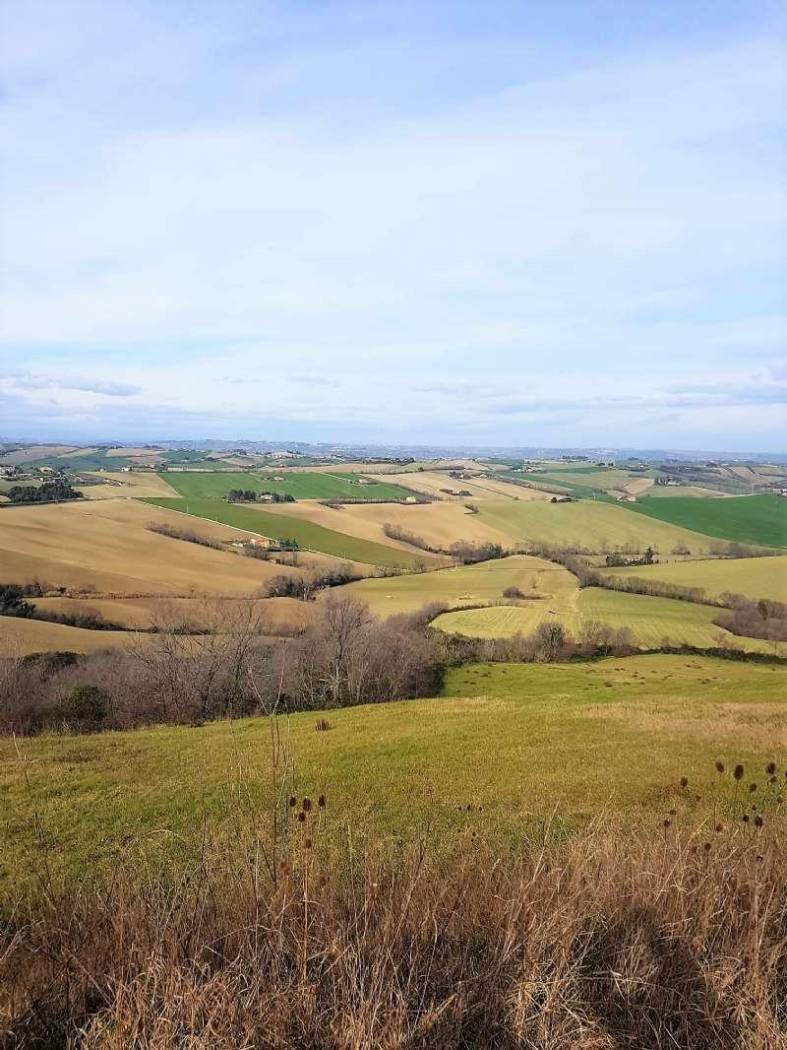 whatsapp image 2022-02-19 at 11.19.02