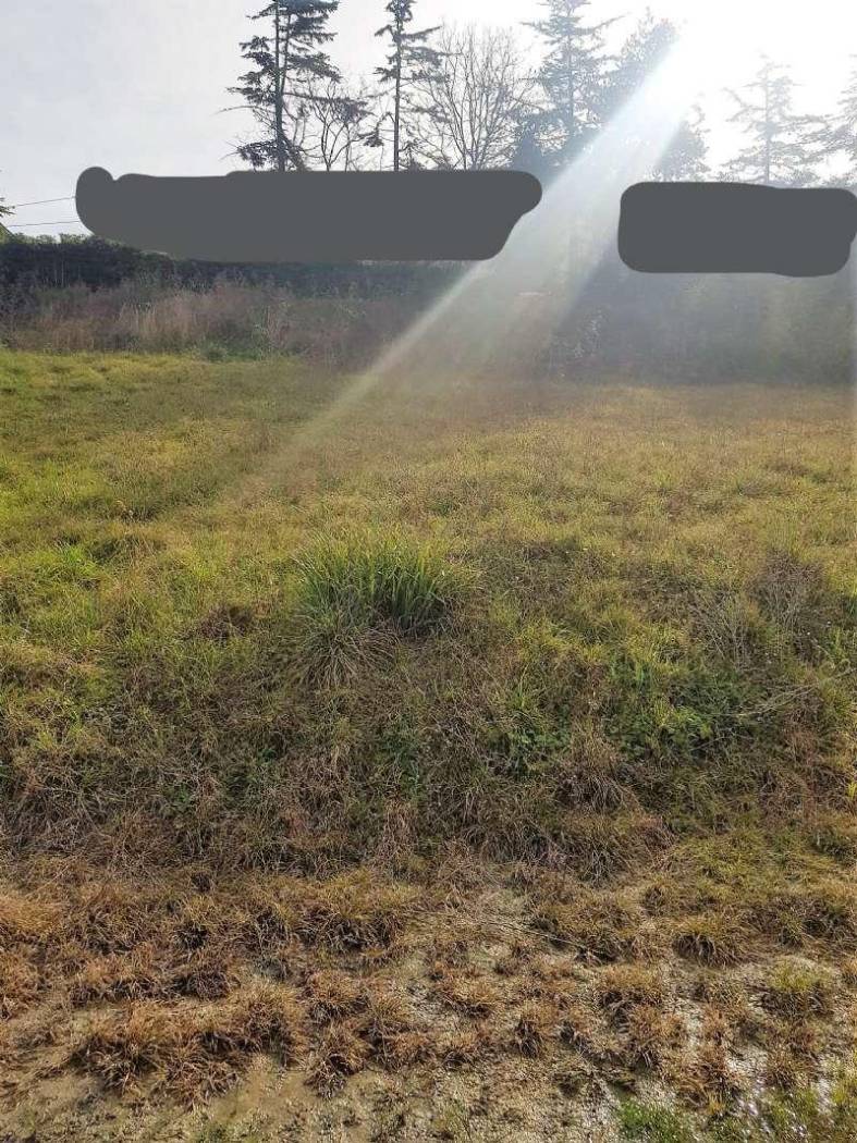 inkedwhatsapp image 2022-02-19 at 11.19.02 (1)_li