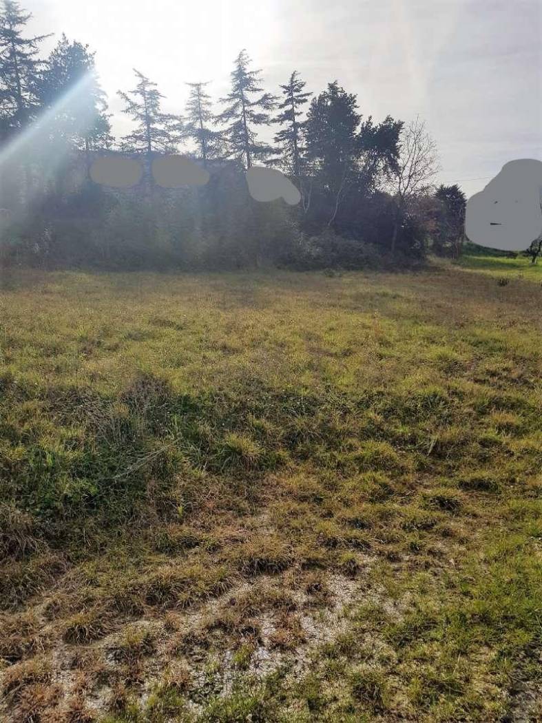 inkedwhatsapp image 2022-02-19 at 11.19.02 (2)_li