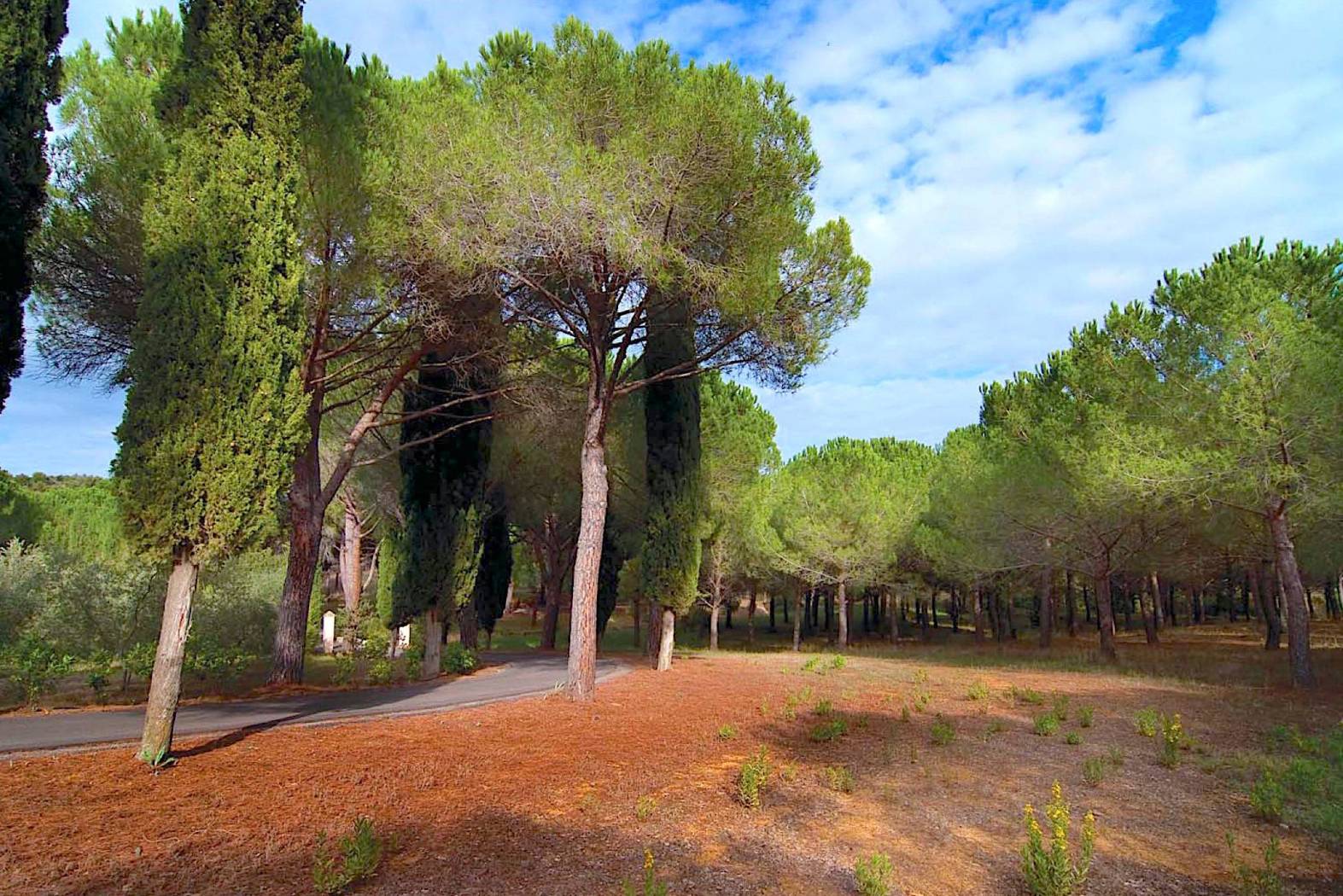 parco