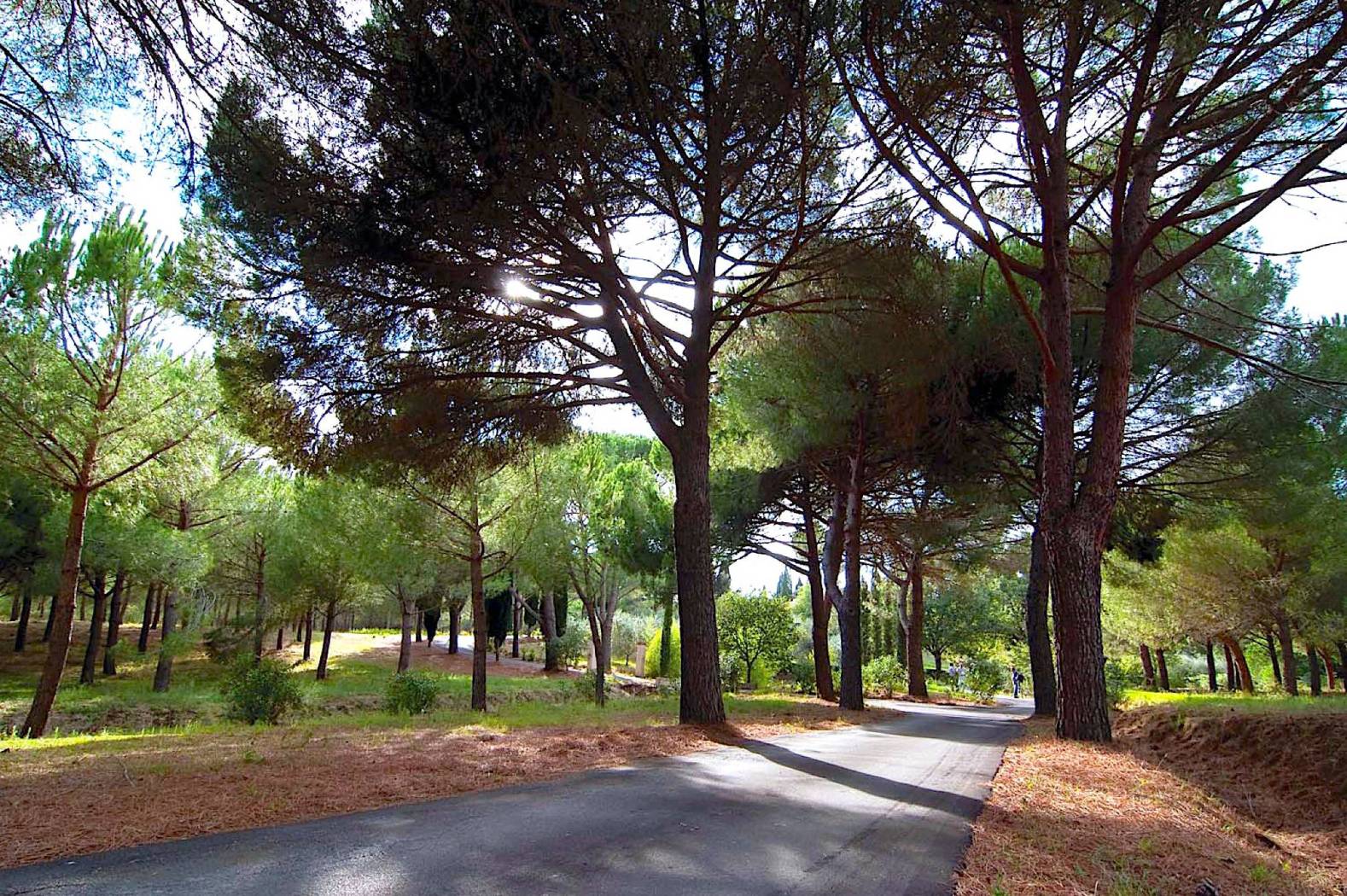 parco