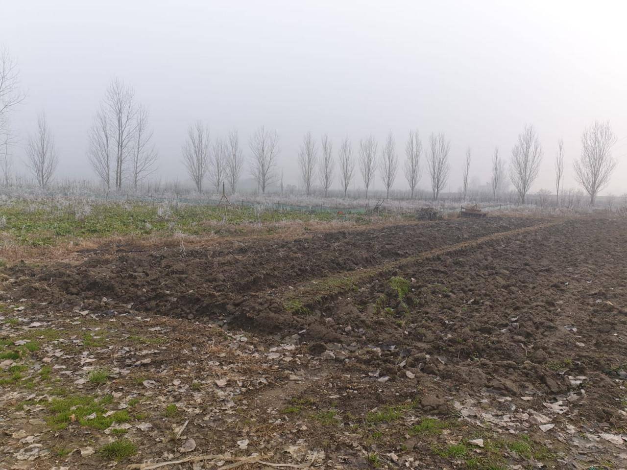 4469bac1 1fcf 4c26 837c 0889fd61b273