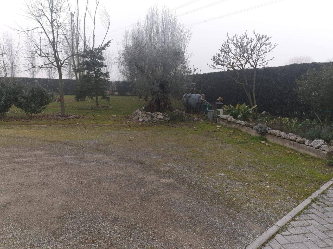 4e1d681d 39fa 45da 9333 2c070dd7d7f2