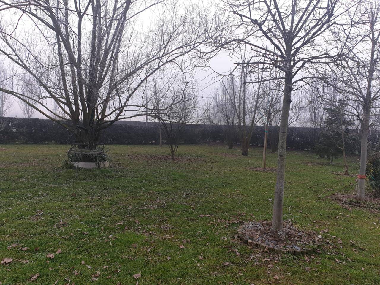 97eada5b 8e8a 4b29 9855 70ec8840581f