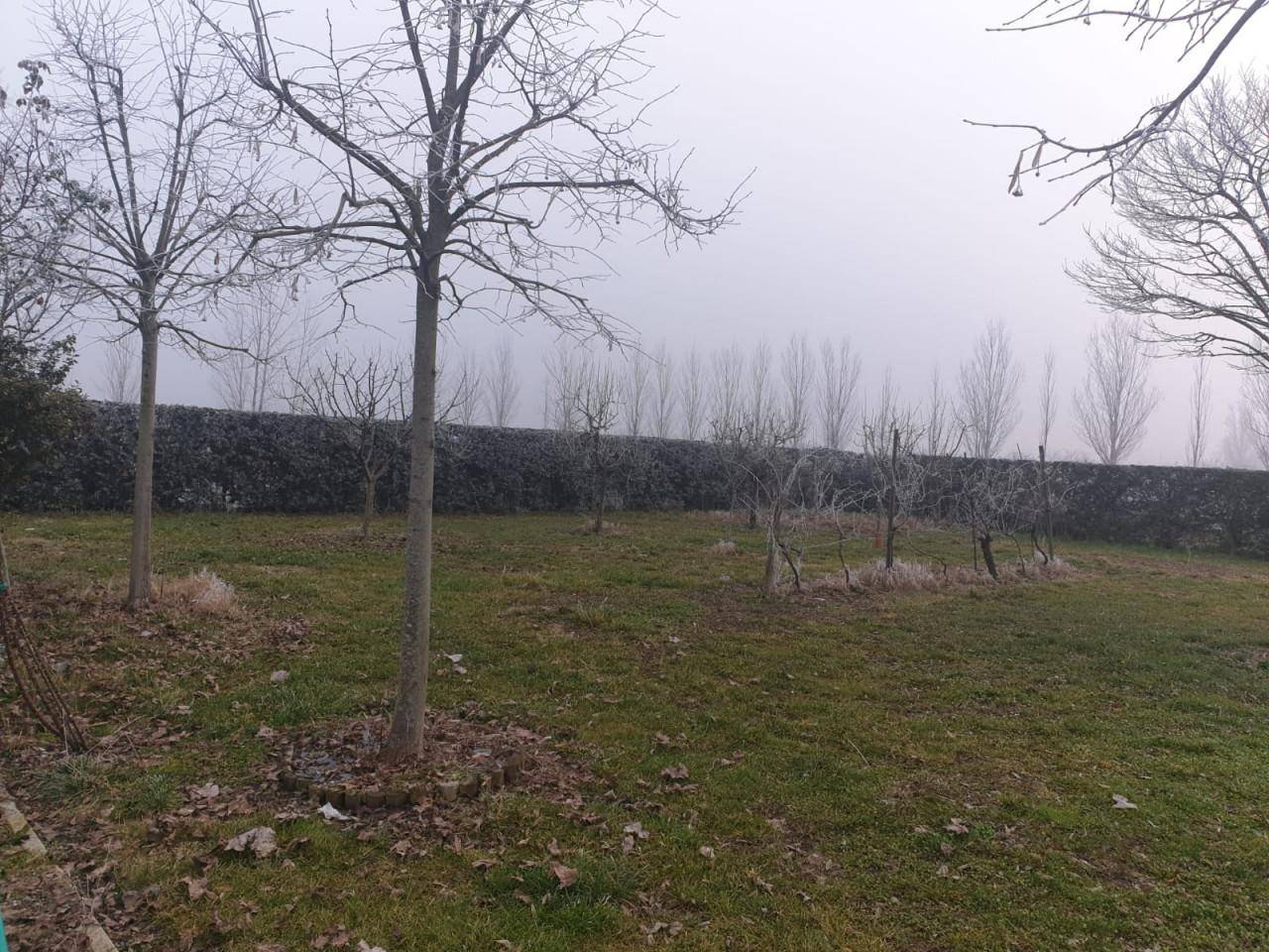 b12c0bfa e8e2 4971 870b 1ce695b49b0c