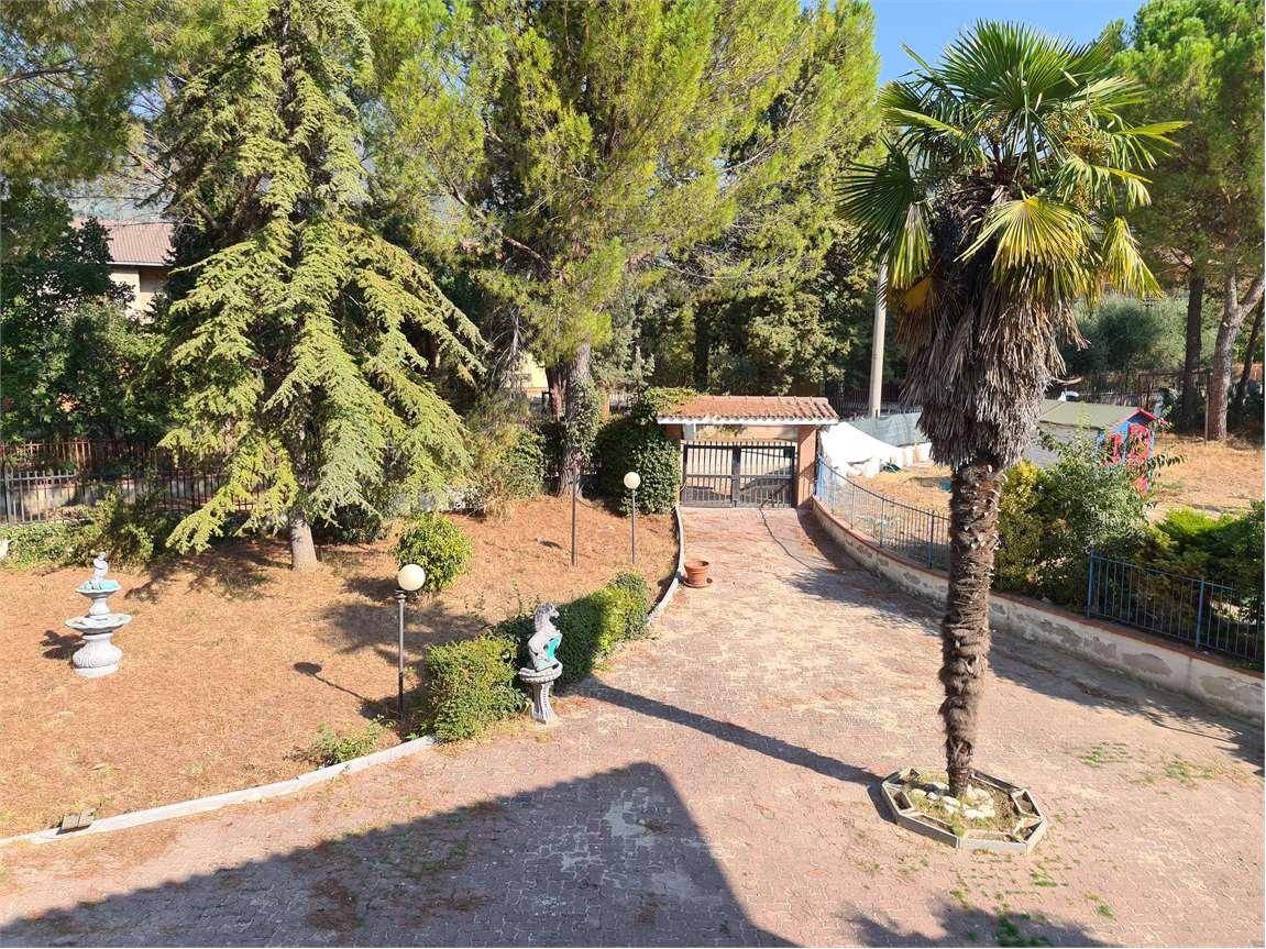 Giardino