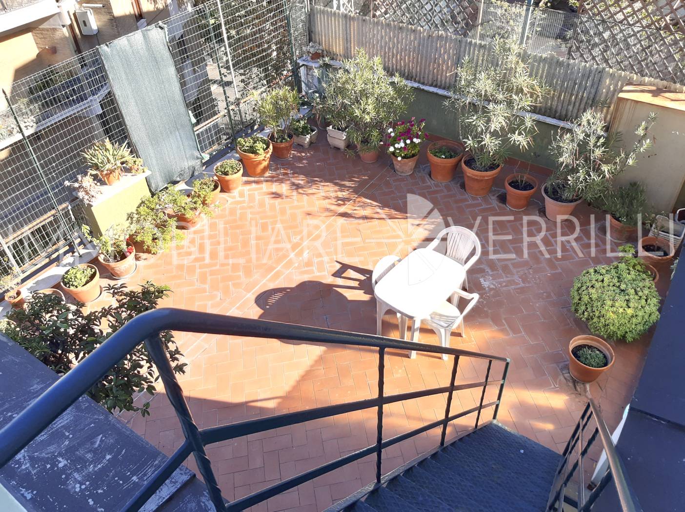 TERRAZZA