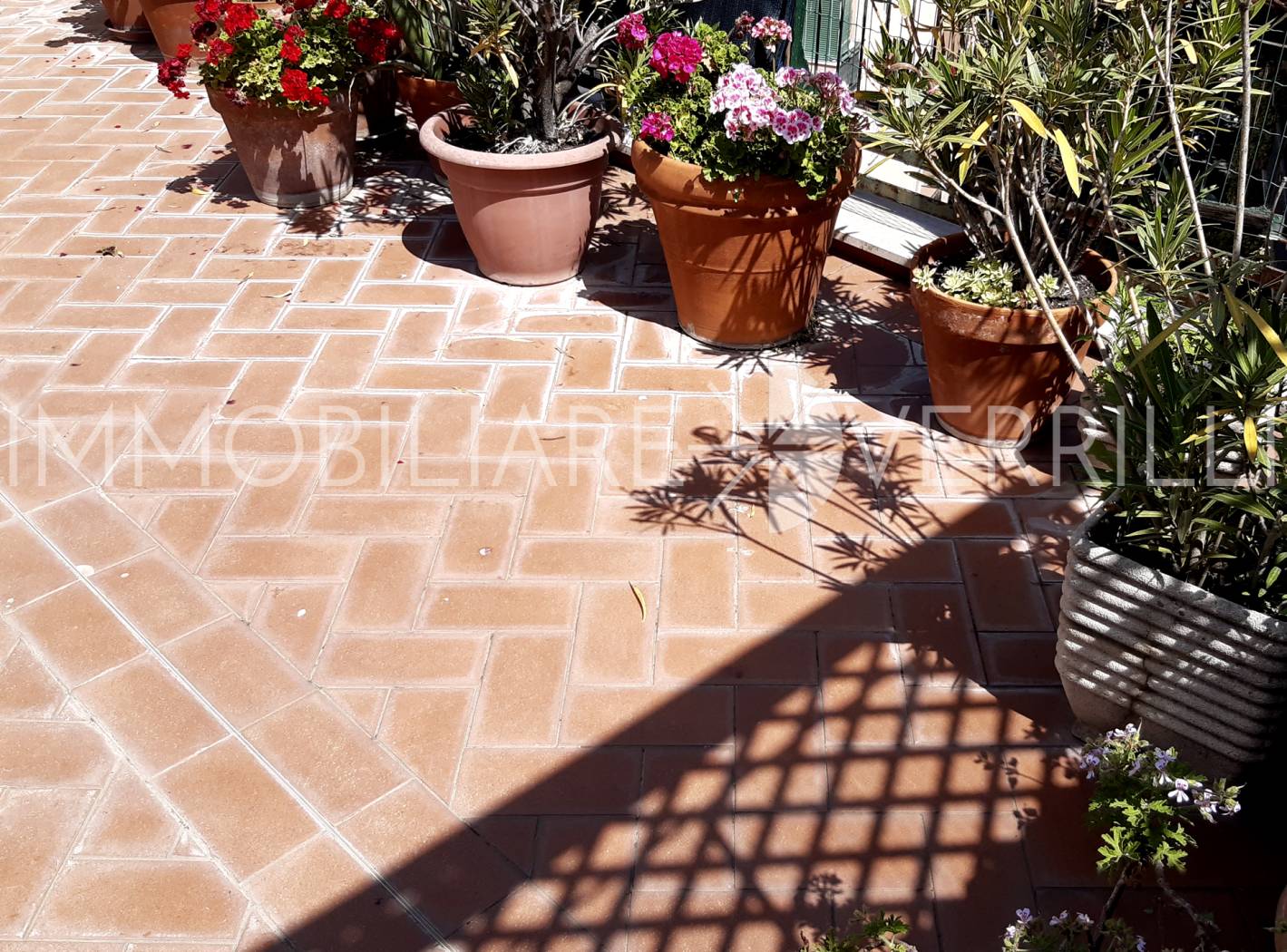 TERRAZZA