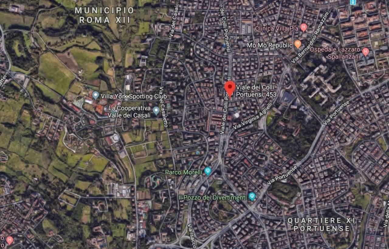 RomaVialeDeiColliPortuensi453-Geolocalizzazione