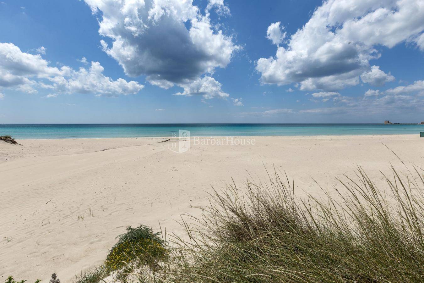 SPIAGGE