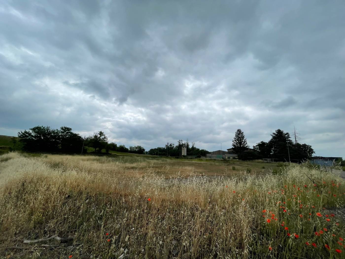 TERRENO INDUSTRIALE TERRENO INDUSTRIALE