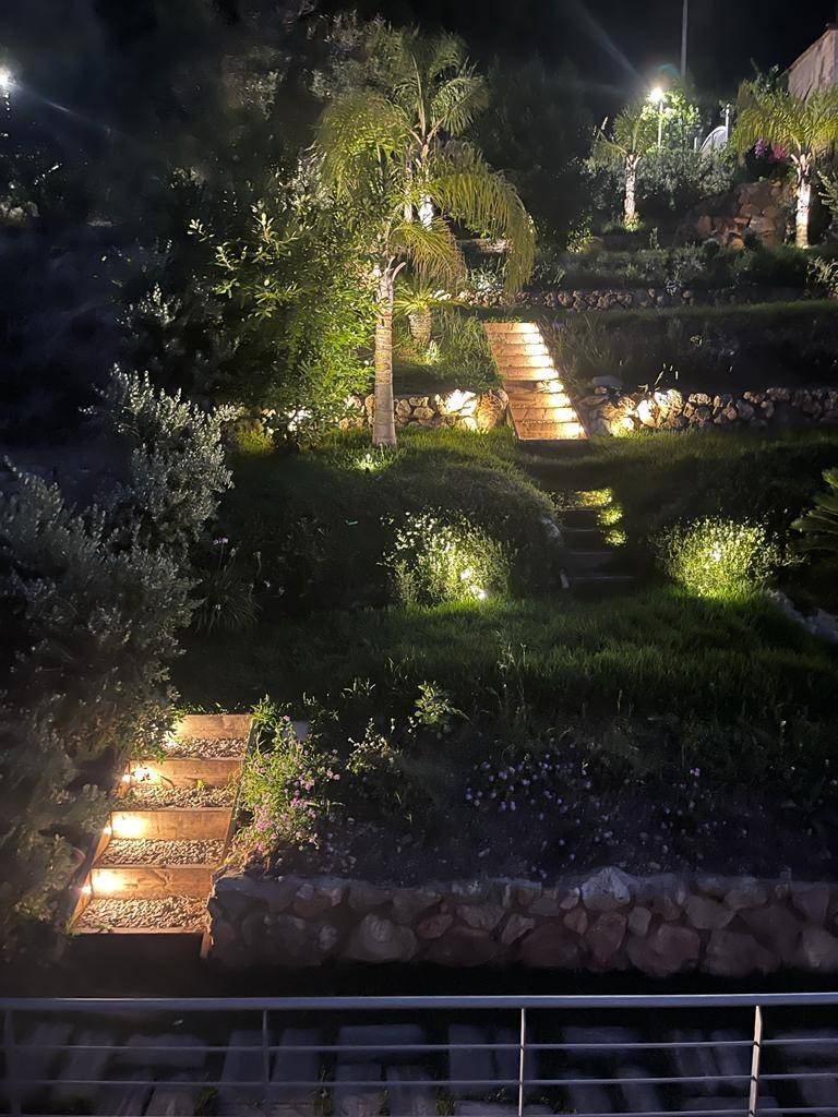 Vista notturna e illuminata del giardino