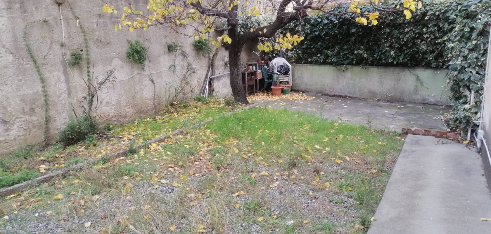 Terreno