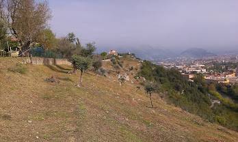 Vista dal terreno 3