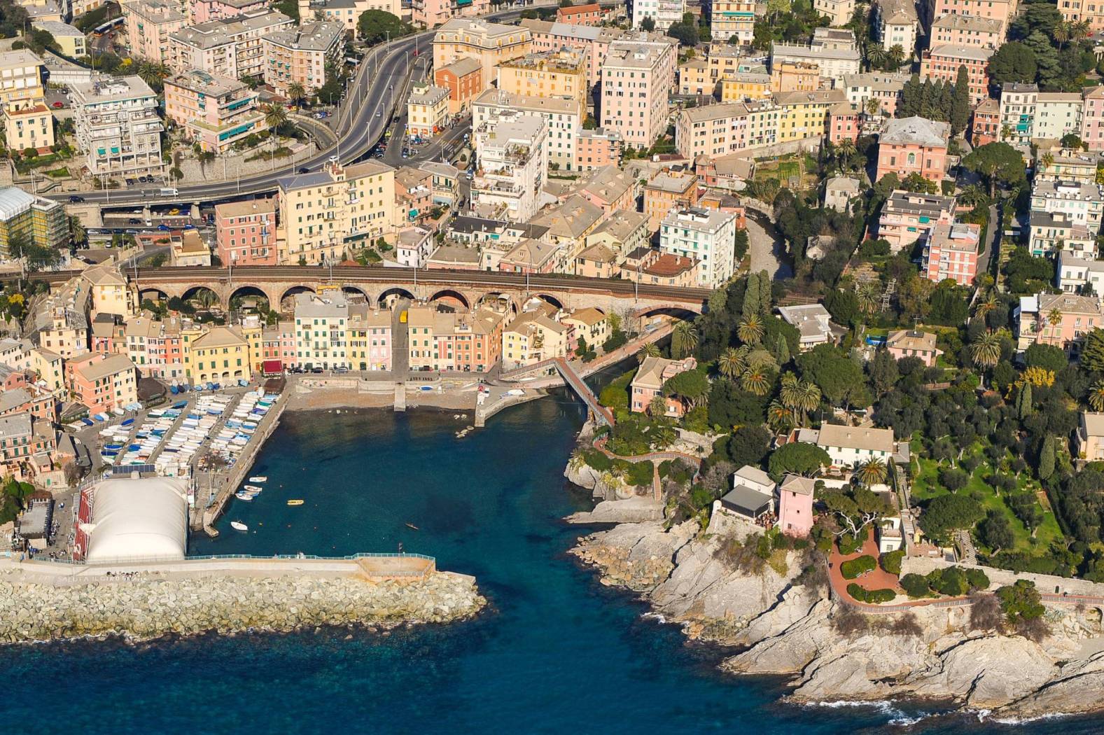 Nervi