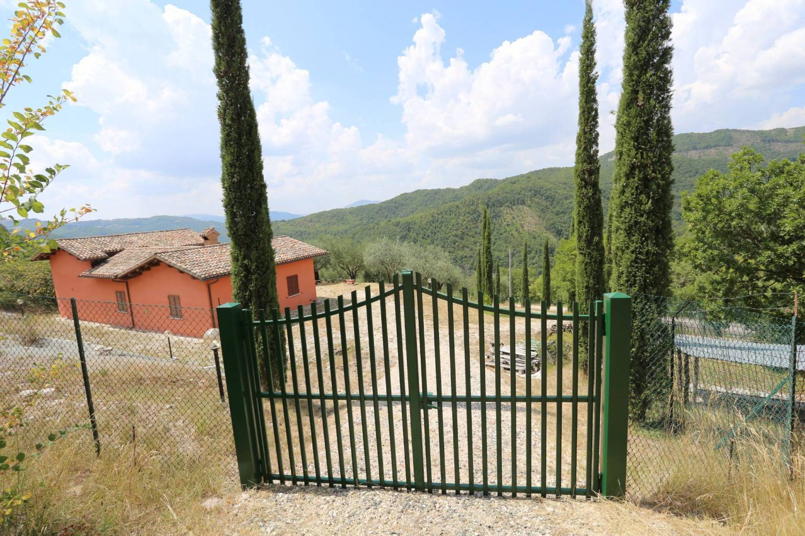 Ingresso
