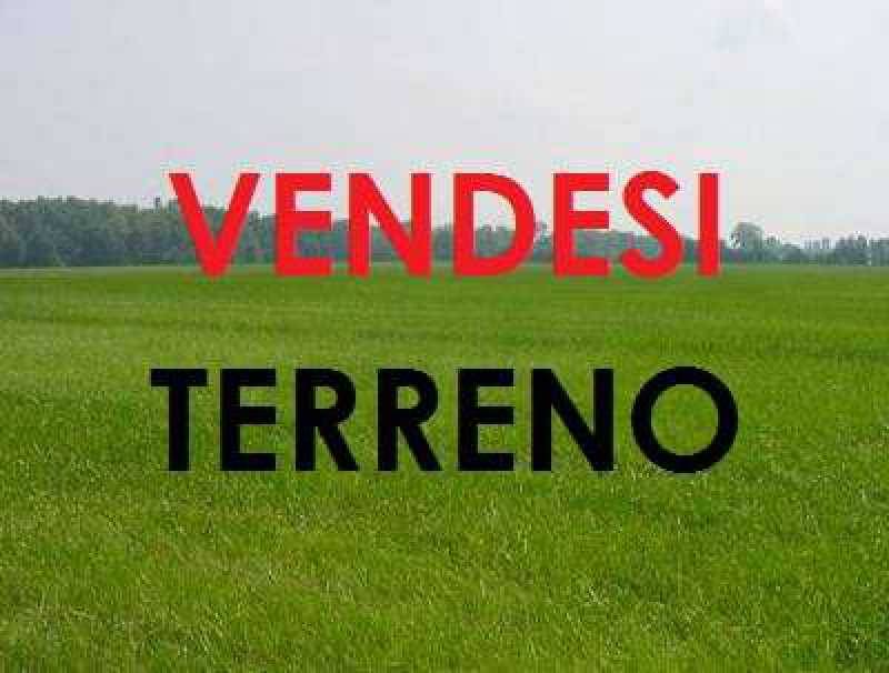 terreno2