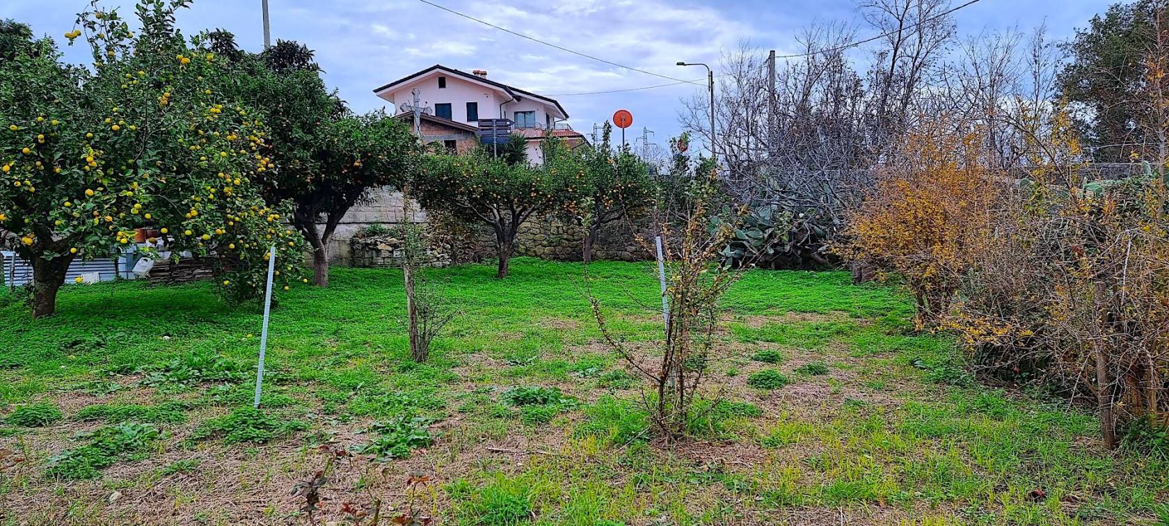 giardino
