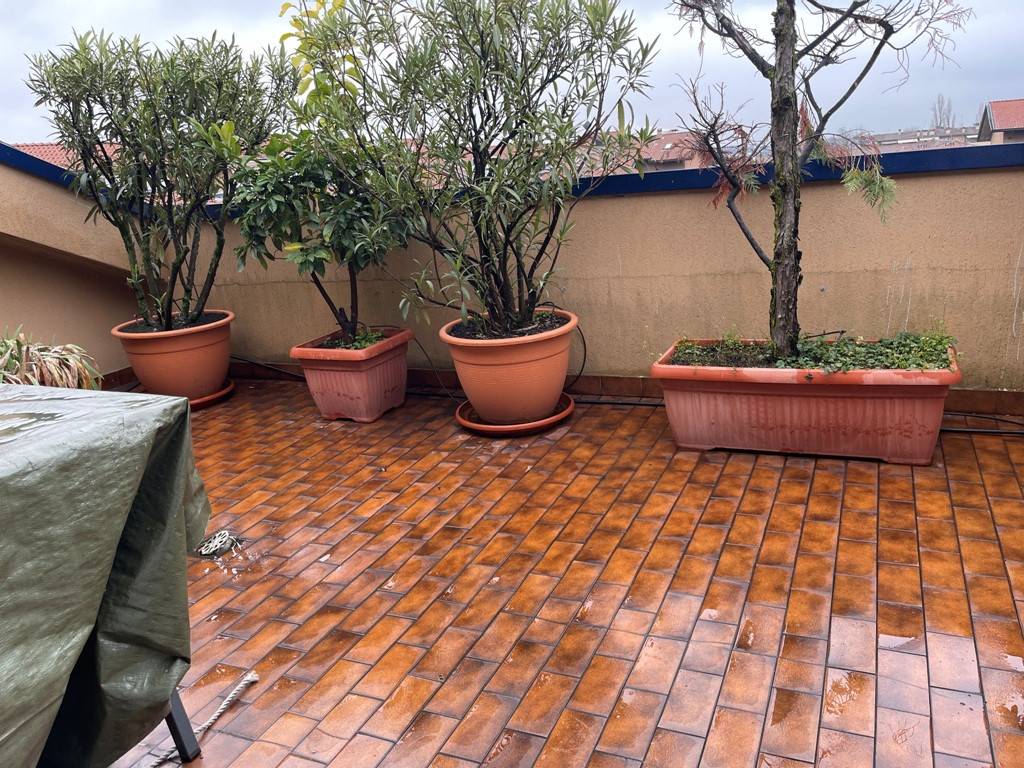 terrazzo