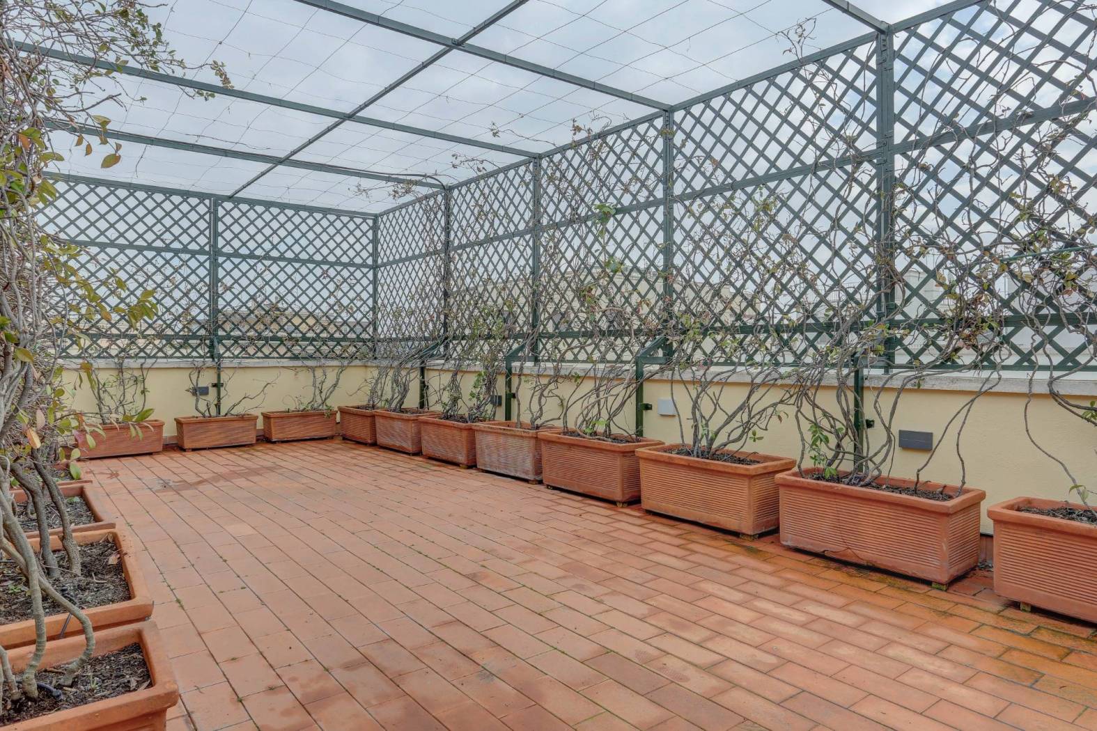 terrazza