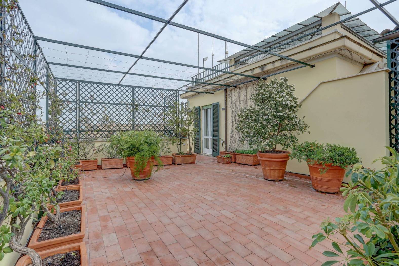 terrazza