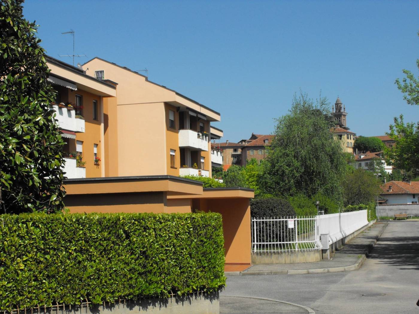 Zona