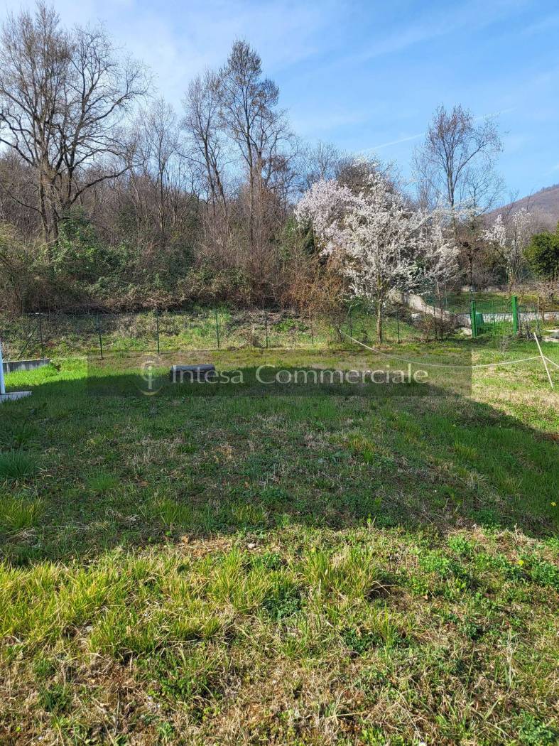 giardino (2)
