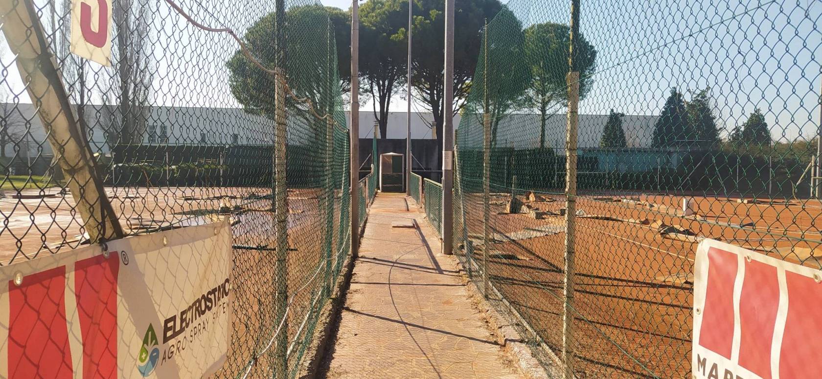 tennis