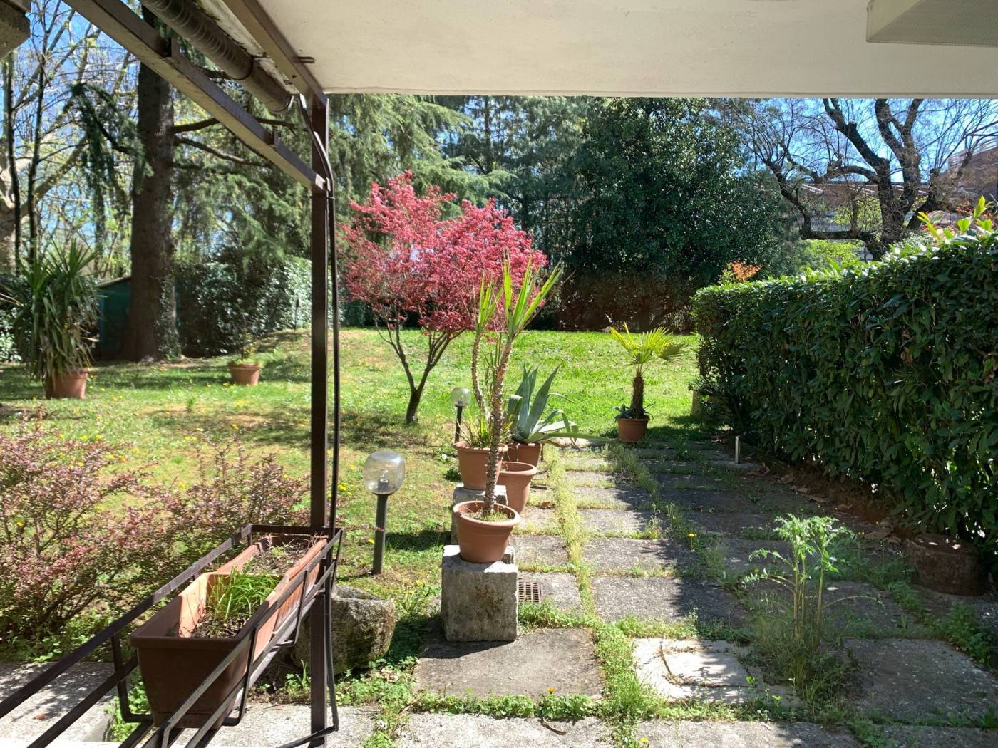 giardino