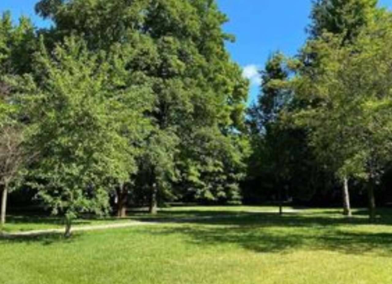 screenshot_20220810-204046_google