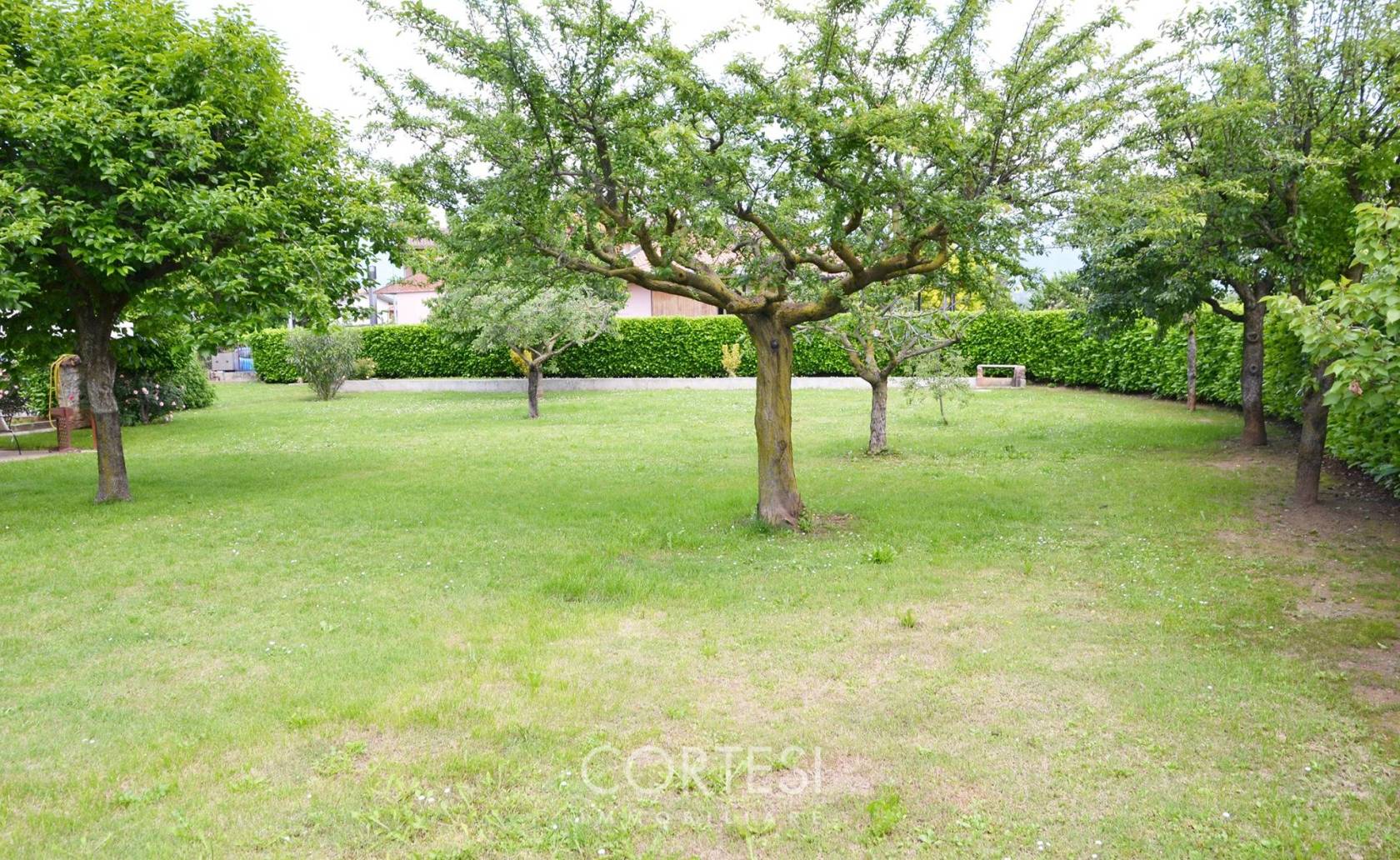 Giardino