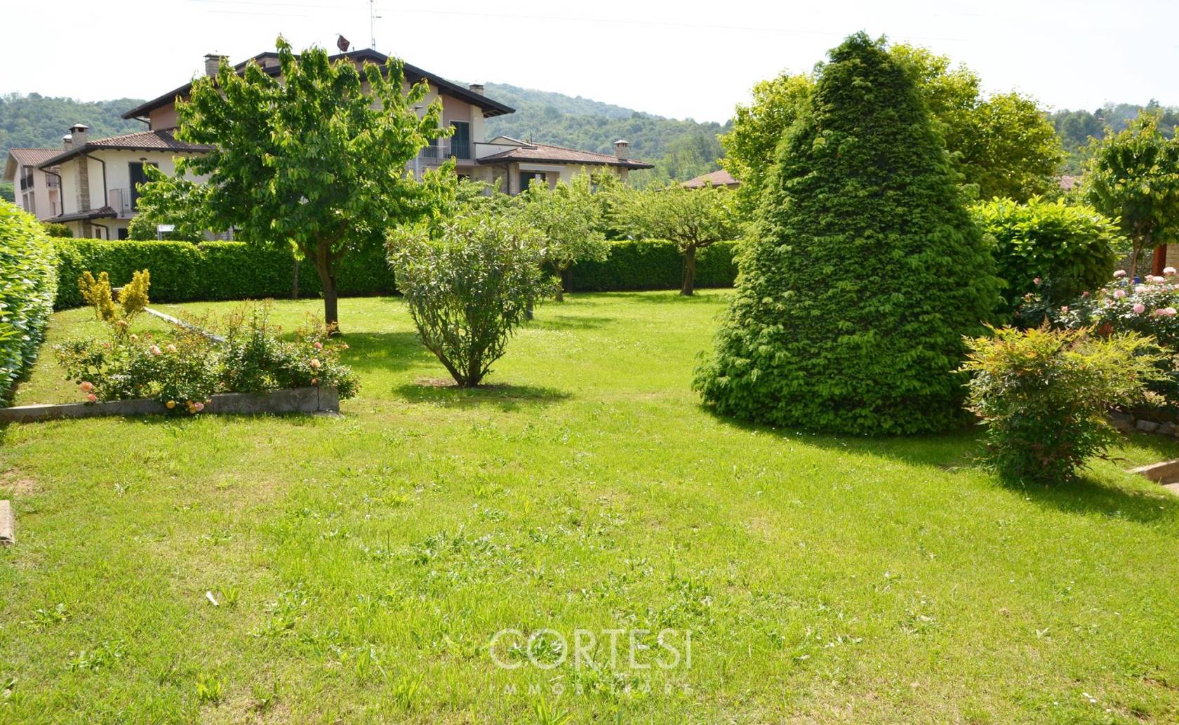 Giardino