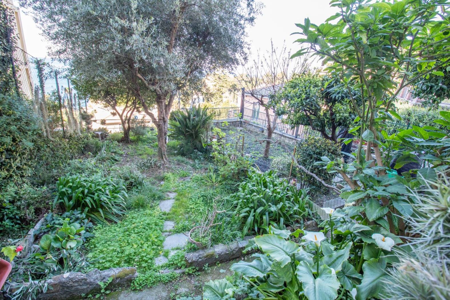 GIARDINO