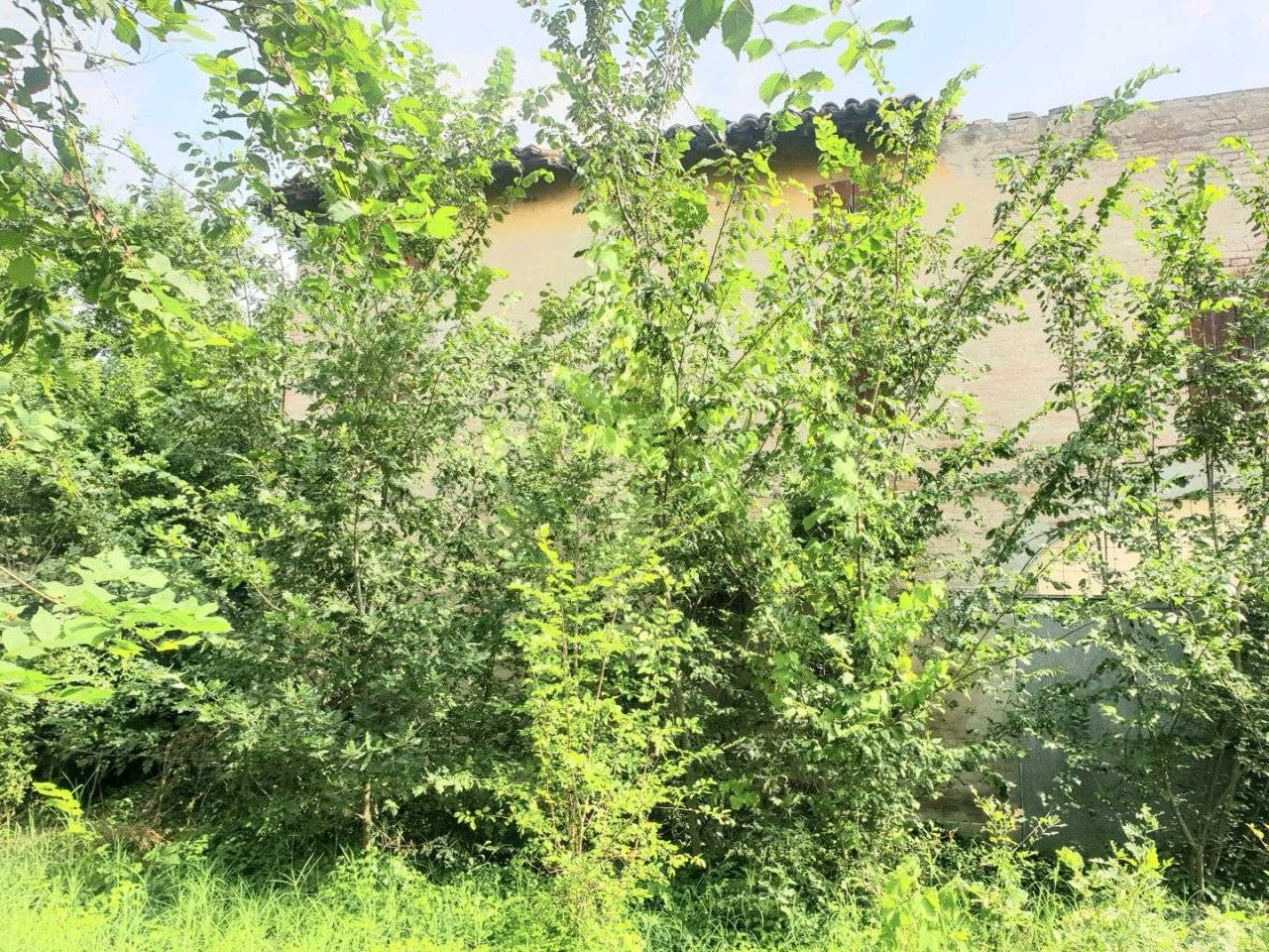 img 20230623 wa0065