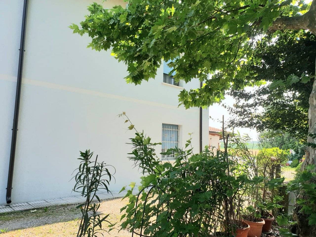 img 20230624 wa0001